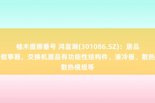 柚木提娜番号 鸿富瀚(301086.SZ)：居品愚弄于做事器，交换机居品有功能性结构件、液冷板、散热模组等