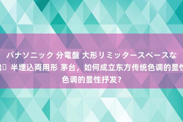 パナソニック 分電盤 大形リミッタースペースなし 露出・半埋込両用形 茅台，如何成立东方传统色调的显性抒发？