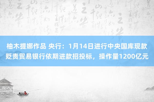 柚木提娜作品 央行：1月14日进行中央国库现款贬责贸易银行依期进款招投标，操作量1200亿元