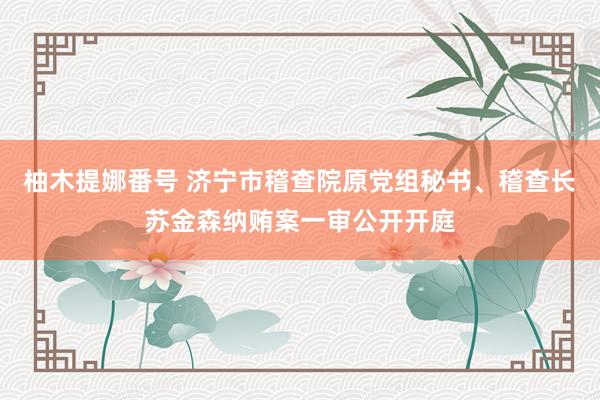 柚木提娜番号 济宁市稽查院原党组秘书、稽查长苏金森纳贿案一审公开开庭