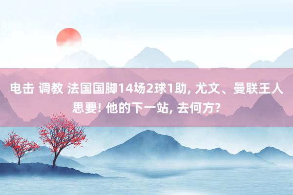 电击 调教 法国国脚14场2球1助， 尤文、曼联王人思要! 他的下一站， 去何方?