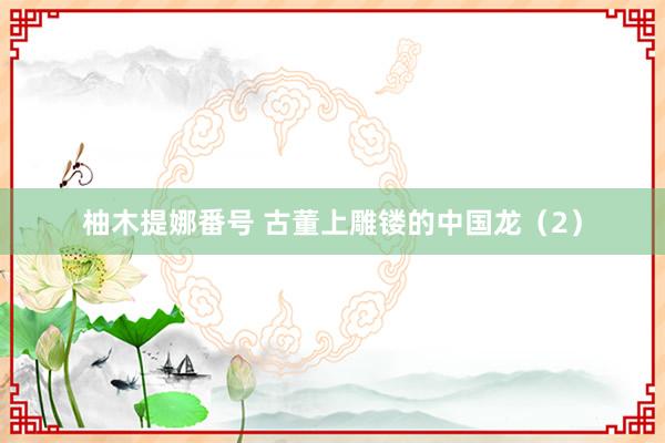 柚木提娜番号 古董上雕镂的中国龙（2）