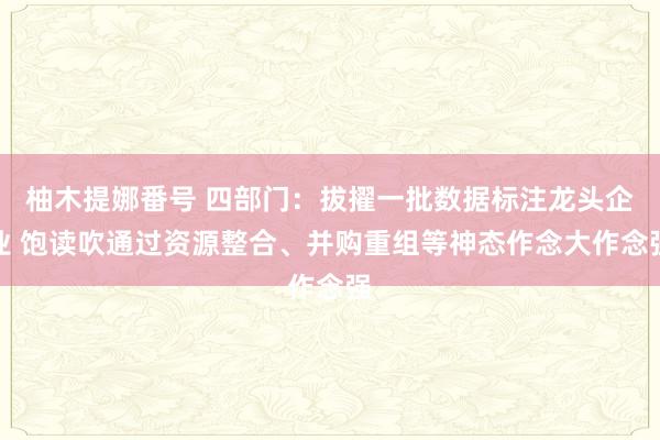 柚木提娜番号 四部门：拔擢一批数据标注龙头企业 饱读吹通过资源整合、并购重组等神态作念大作念强