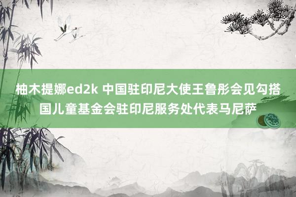 柚木提娜ed2k 中国驻印尼大使王鲁彤会见勾搭国儿童基金会驻印尼服务处代表马尼萨