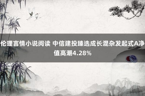 伦理言情小说阅读 中信建投臻选成长混杂发起式A净值高潮4.28%